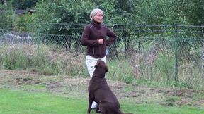 Tierarztpraxis Bordenau Bracke Hundeschule Neustadt Hundetraining