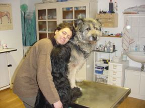 Tierarztpraxis Bordenau Bracke Hundeschule Neustadt Praxis